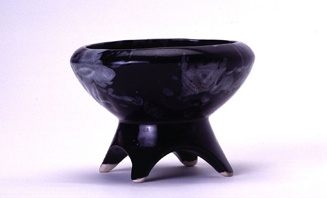 Community Involvement 